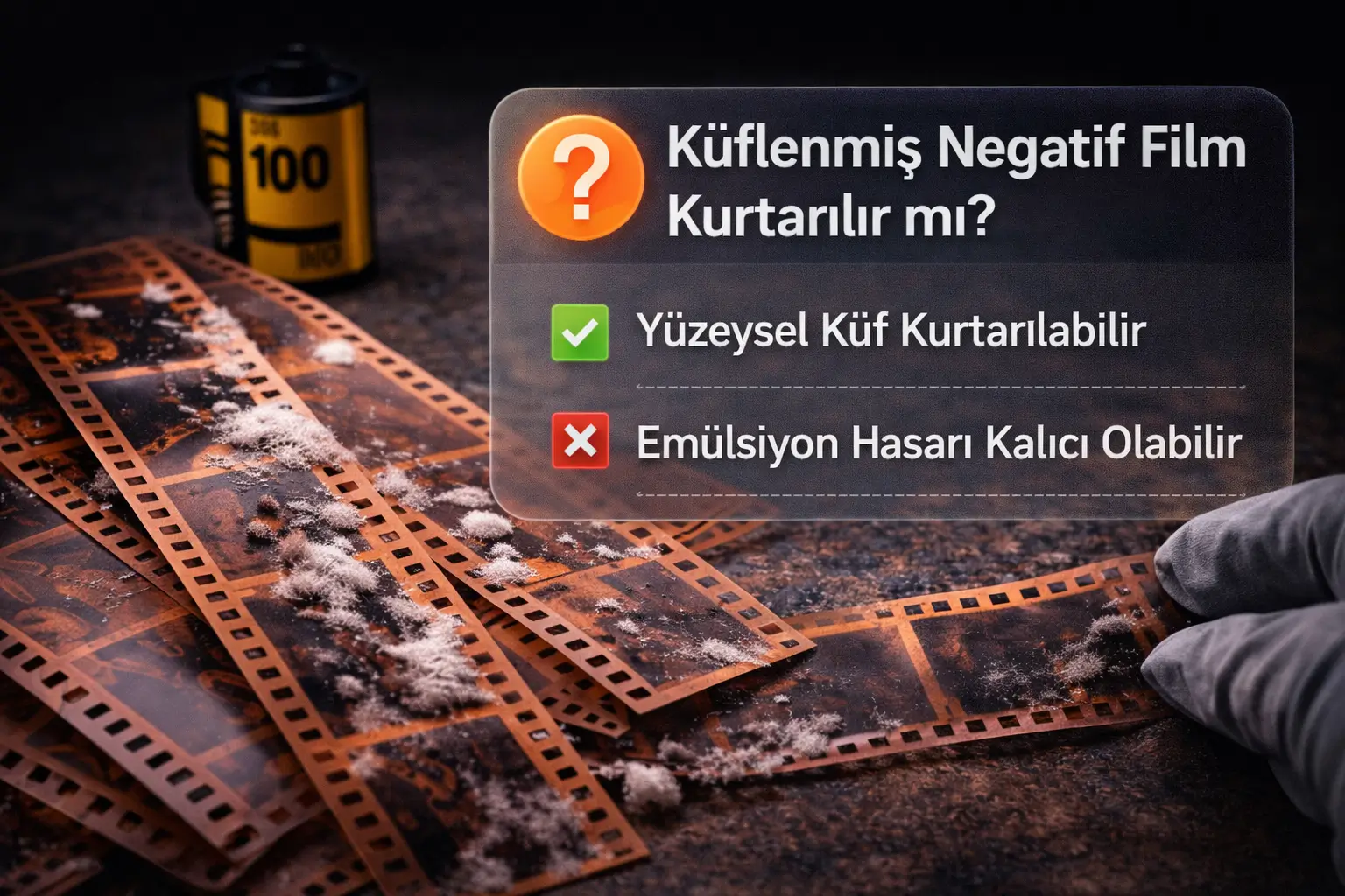 Küflenmiş Negatif Film Kurtarılır mı? Ne Kadarına Müdahale Edilebilir?0 (0)
